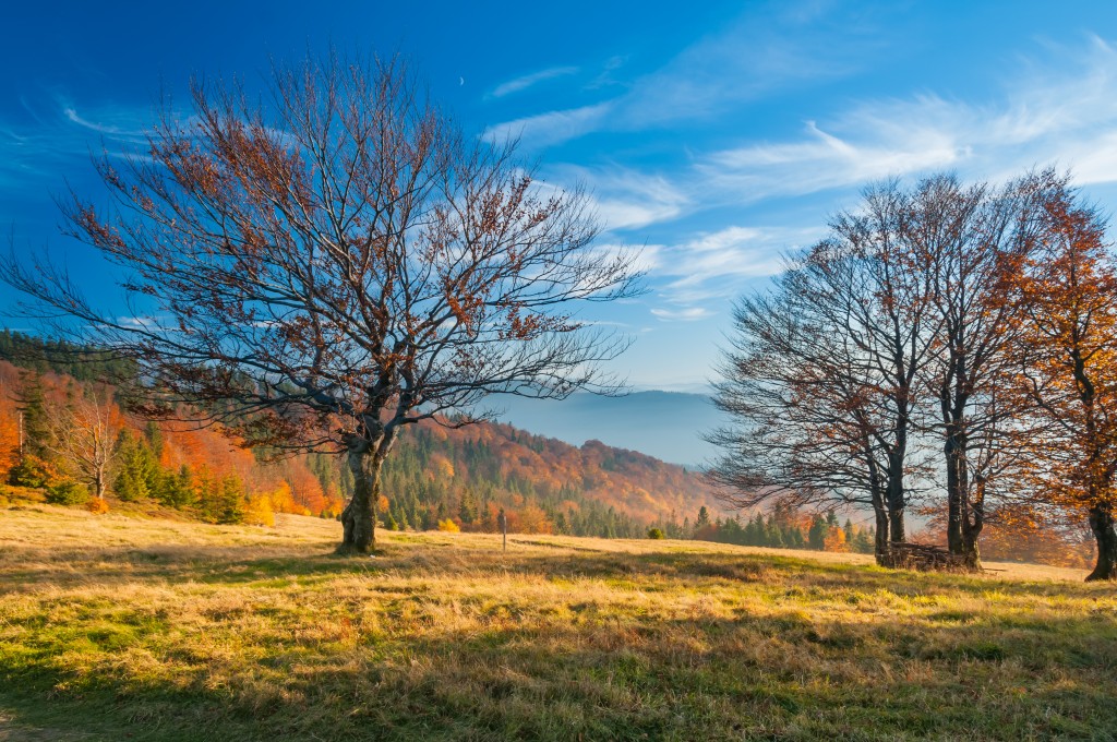 The mountain autumn landscape in Beskidy